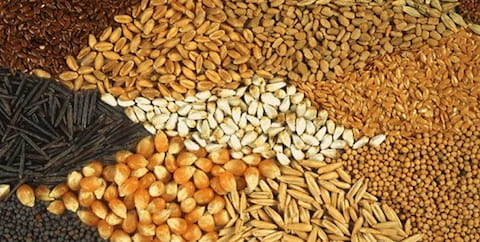 تصویر 4 از قیمت مکمل خوراک دام و طیور + خرید باور نکردنی