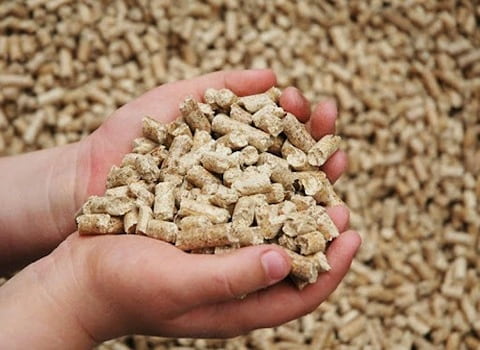 تصویر 1 از قیمت مکمل خوراک دام و طیور + خرید باور نکردنی