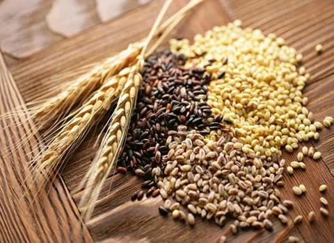 قیمت مکمل خوراک دام و طیور + خرید باور نکردنی