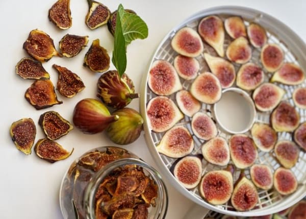 خرید انجیر خشک ورقه ای + قیمت فروش استثنایی