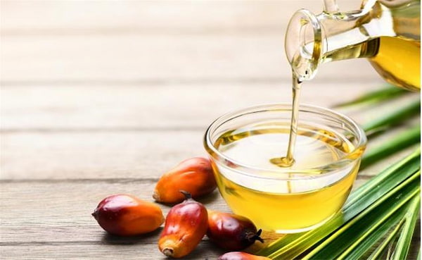 تصویر 1 از خرید روغن هسته خرما اصل + قیمت فروش استثنایی