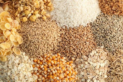 تصویر 2 از خرید و قیمت مکمل غذایی دام و طیور + فروش عمده