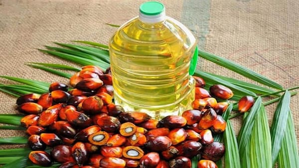 تصویر 4 از قیمت روغن هسته خرما پالم + خرید باور نکردنی