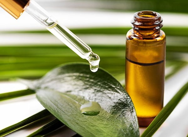 قیمت روغن هسته خرما پالم + خرید باور نکردنی