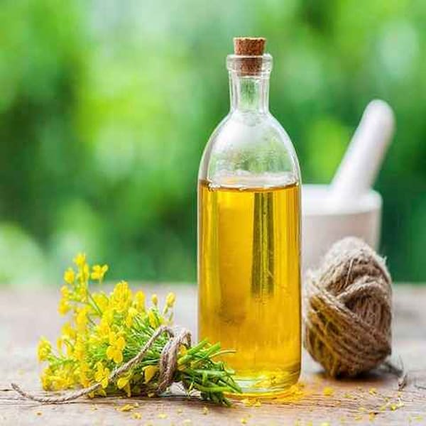 تصویر 5 از قیمت روغن هسته خرما پالم + خرید باور نکردنی