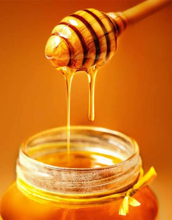 تصویر 1 از قیمت خرید عسل گون طبیعی + فروش ویژه