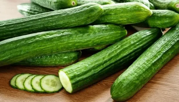 تصویر 1 از خیار گلخانه اصفهان + قیمت صادراتی