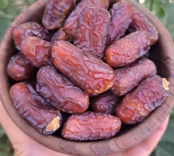 تصویر 5 از قیمت خرما پیارم صادراتی + خرید باور نکردنی