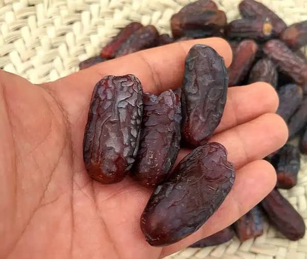 تصویر 5 از قیمت خرید خرما پیارم ممتاز + فروش ویژه