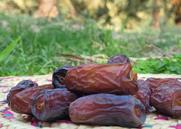 تصویر 4 از قیمت خرید خرما پیارم ممتاز + فروش ویژه