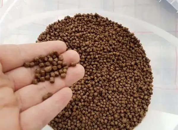 تصویر 3 از قیمت خرید غذا ماهی هلو فیش + فروش ویژه