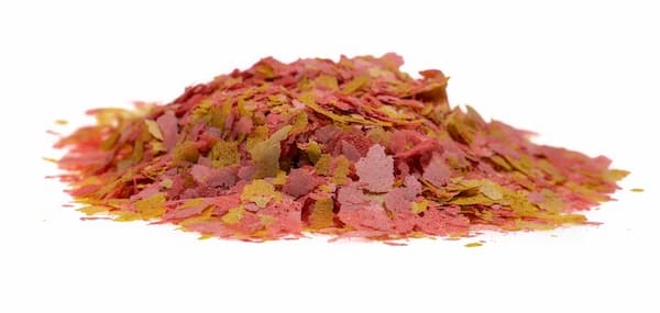 تصویر 2 از قیمت خرید غذا ماهی گوپی پولکی + فروش ویژه