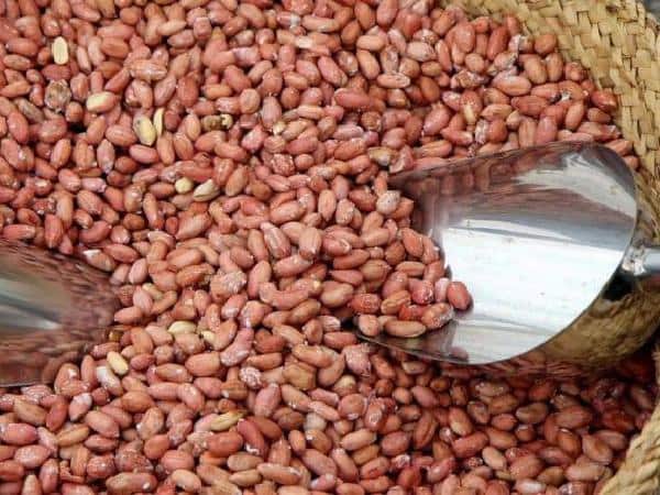 تصویر 1 از بهترین بادام زمینی فله + قیمت خرید عالی