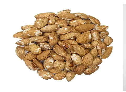 تصویر 2 از قیمت بادام درختی با پوست + فروش ویژه