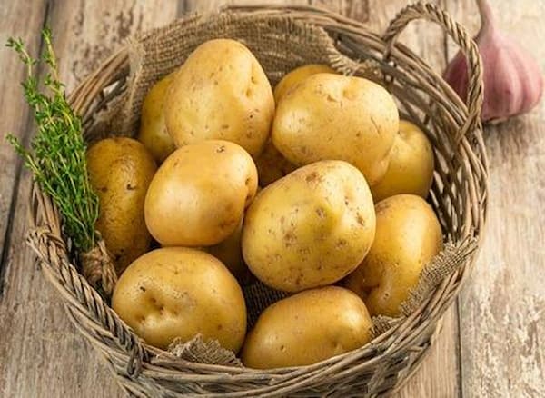 تصویر 5 از فروش سیب زمینی تازه جیرفت + قیمت خرید به صرفه