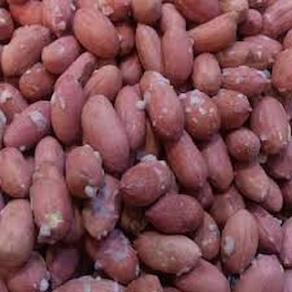 تصویر 5 از خرید بادام زمینی درشت + قیمت فروش استثنایی