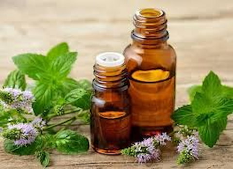 تصویر 5 از قیمت اسانس گیاهی خوشبو با کیفیت ارزان + خرید عمده