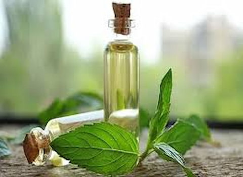تصویر 4 از قیمت اسانس گیاهی خوشبو با کیفیت ارزان + خرید عمده