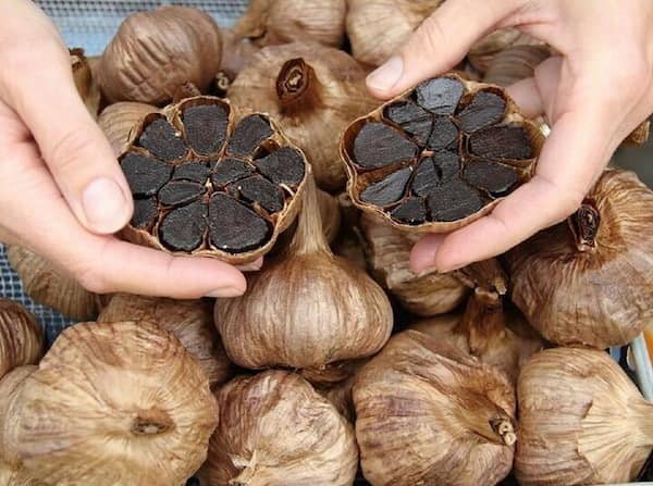 تصویر 1 از خرید سیر سیاه صادراتی + قیمت فروش استثنایی