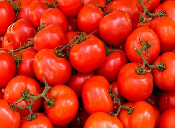 تصویر 3 از رب گوجه فرنگی سدکیس + طعم سنتی و اصیل