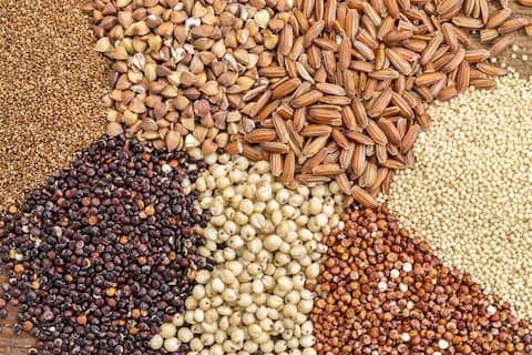 تصویر 5 از فروش کنسانتره اسب حساس به غلات + قیمت خرید به صرفه