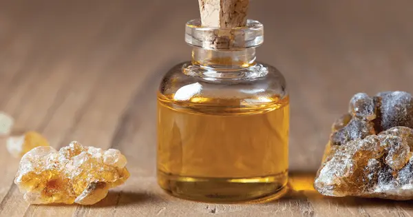 تصویر 5 از خرید روغن هسته خرما برای پوست + قیمت عالی باکیفیت