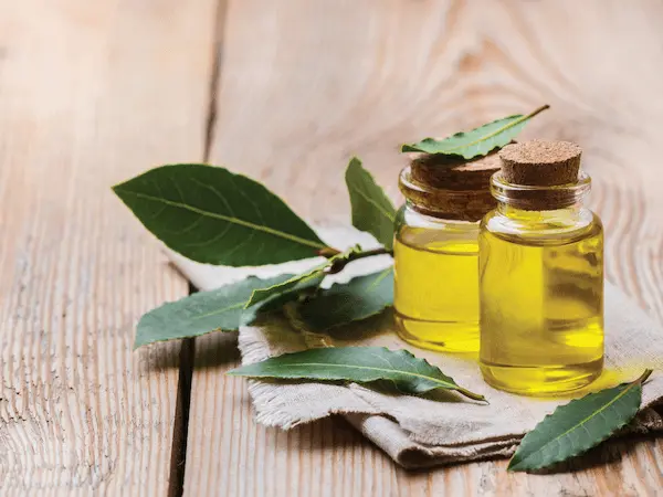 تصویر 5 از خرید روغن هسته خرما خوراکی + قیمت عالی باکیفیت