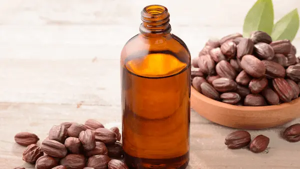 تصویر 4 از خرید روغن هسته خرما خوراکی + قیمت عالی باکیفیت