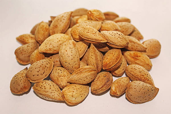 تصویر 3 از خرید بادام درختی خام + قیمت فروش استثنایی
