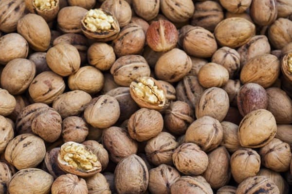 تصویر 3 از قیمت گردو تویسرکان همدان + خرید باور نکردنی