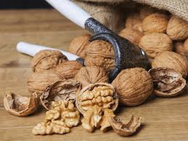 تصویر 4 از قیمت خرید مغز گردو تویسرکان + فروش ویژه