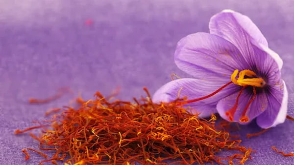 تصویر 5 از خرید و قیمت زعفران صادراتی ایران + فروش عمده