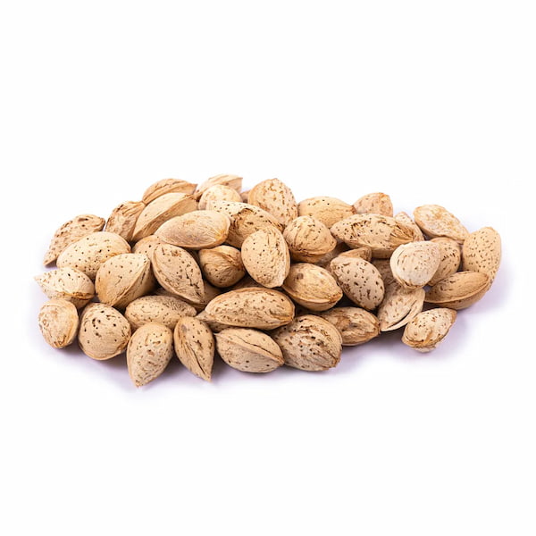 تصویر 4 از قیمت خرید بادام درختی خام + فروش ویژه