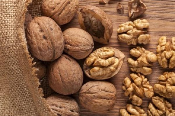 فروش گردو تویسرکان همدان + قیمت خرید به صرفه