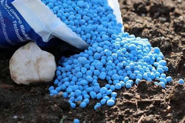 تصویر 5 از قیمت کود نانو ارگانیک + خرید باور نکردنی