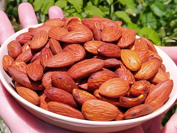 بادام درختی درجه یک مناسب مصرف داخلی مقرون به صرفه
