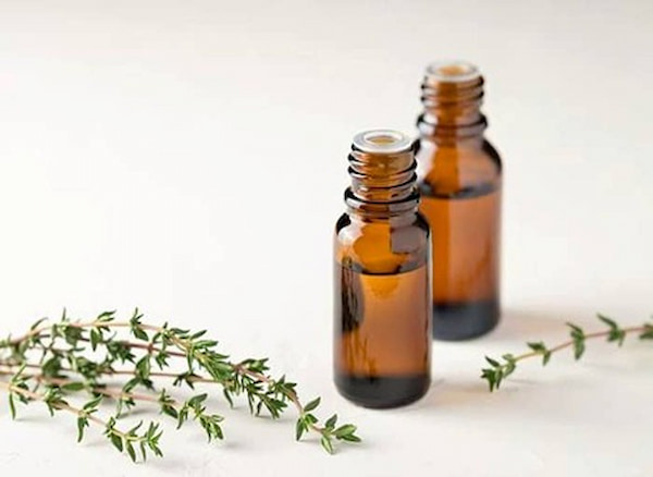 تصویر 5 از قیمت خرید اسانس آویشن باغی عمده به صرفه و ارزان