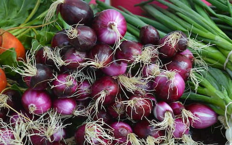 تصویر 3 از خرید و قیمت پیاز قرمز آذرشهر + فروش صادراتی