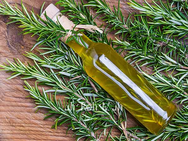تصویر 2 از خرید جدیدترین انواع اسانس رزماری باریج