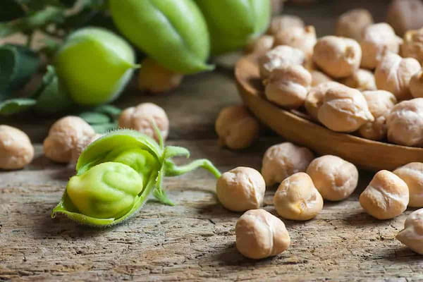 تصویر 4 از خرید نخود آبگوشتی تازه + قیمت عالی باکیفیت