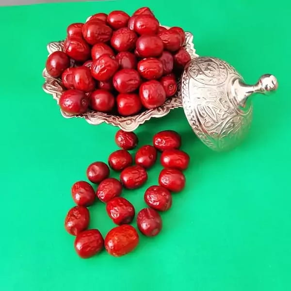 تصویر 4 از فروش عناب درشت بیرجند + قیمت خرید به صرفه