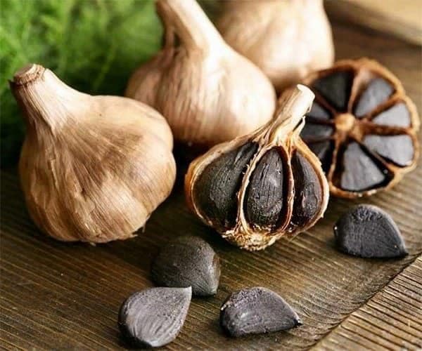 تصویر 4 از قیمت خرید سیر سیاه همدان + فروش ویژه