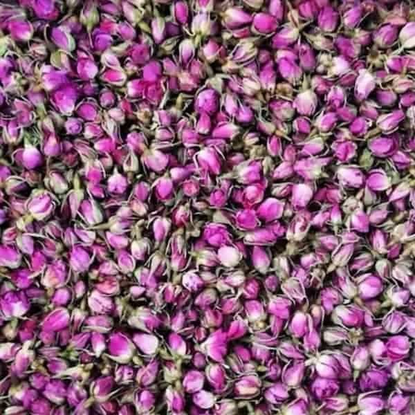 تصویر 5 از قیمت خرید غنچه گل محمدی عمده + فروش ویژه