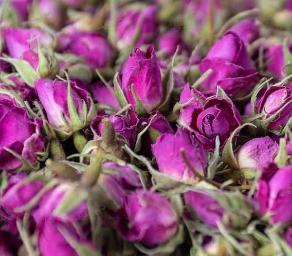 تصویر 2 از قیمت خرید غنچه گل محمدی عمده + فروش ویژه
