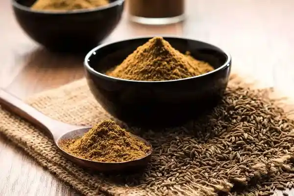 تصویر 1 از قیمت خرید پودر زیره سبز + فروش ویژه