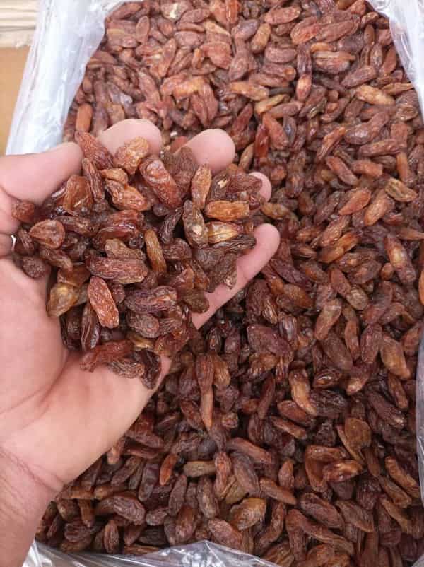 خرید کشمش آفتابی کاشمر + قیمت فروش استثنایی
