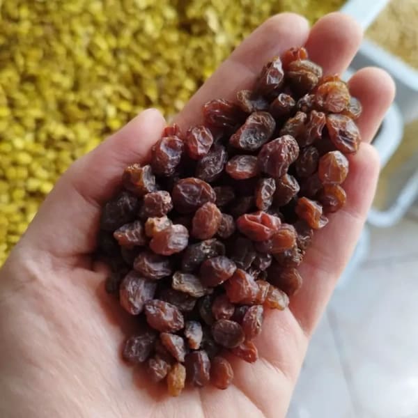تصویر 5 از قیمت کشمش آفتابی بی دانه + خرید باور نکردنی