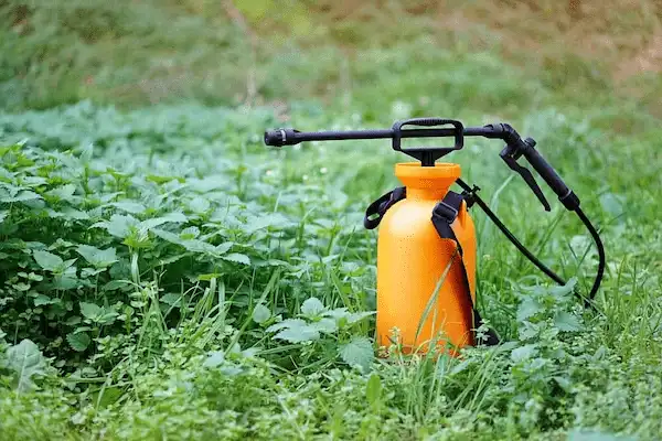 تصویر 3 از بهترین سم پاش دستی عمده + قیمت خرید عالی