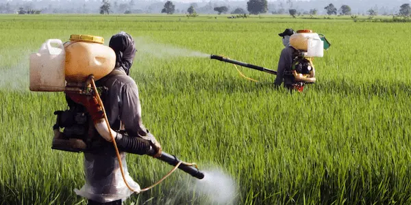 تصویر 5 از بهترین سم پاش دستی عمده + قیمت خرید عالی