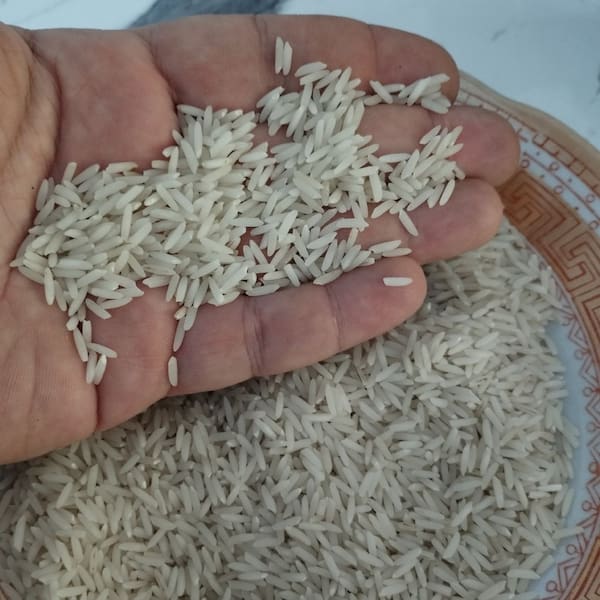 تصویر 2 از بهترین برنج کشت دوم + قیمت خرید عالی